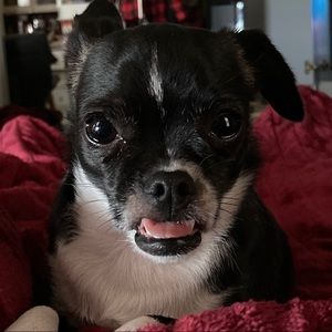 Meet your Posher, Annmarie